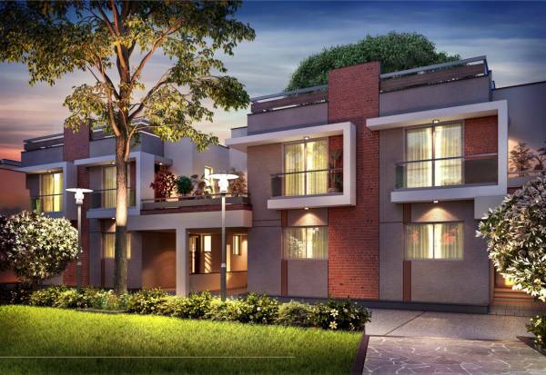  shashwat-florence Elevation