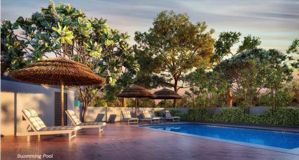  shashwat-florence Swimming Pool