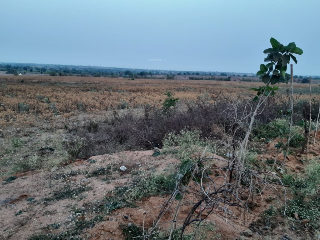  evergreen farm lands Plot