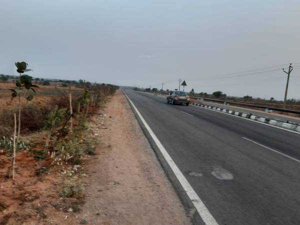  evergreen-farm-lands Plot