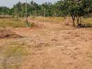Rasapunja Abasan Plot