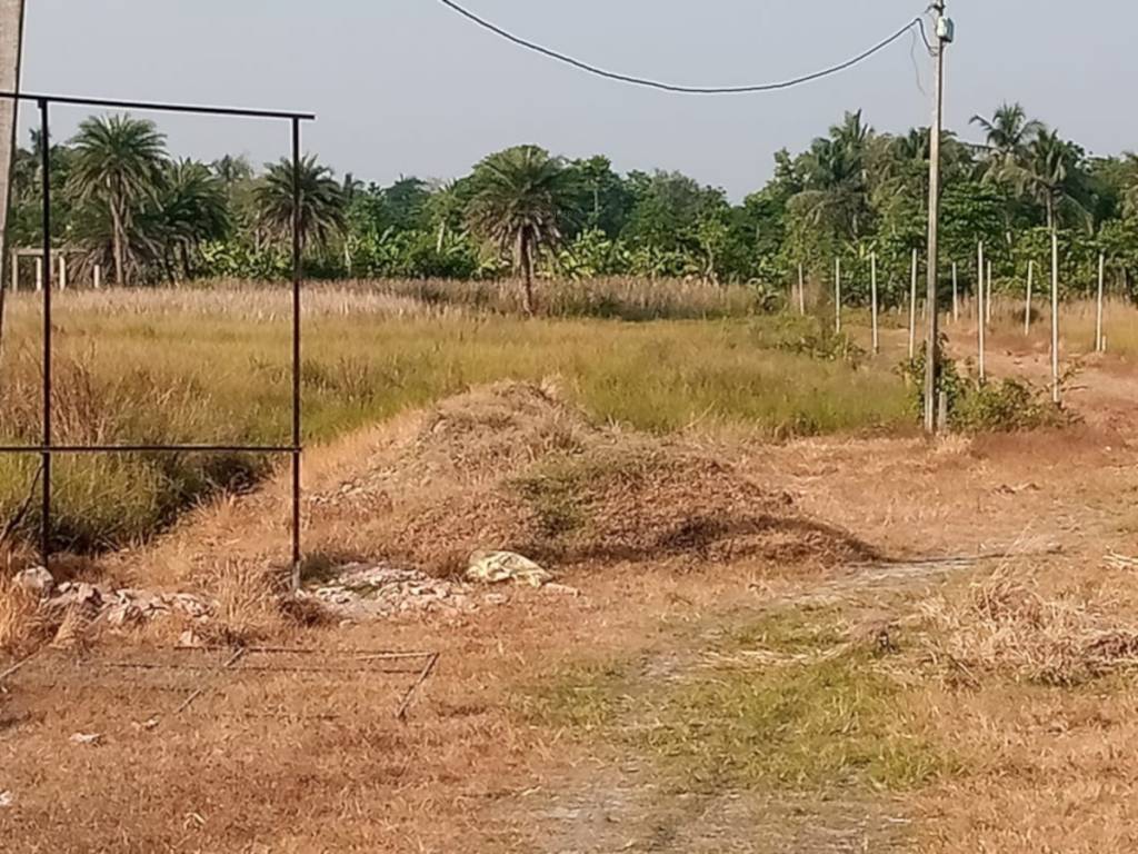  rasapunja abasan Plot