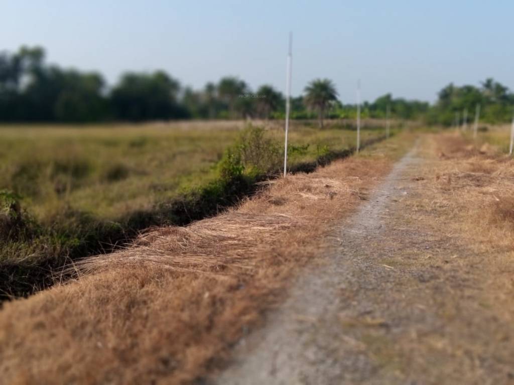  rasapunja abasan Plot