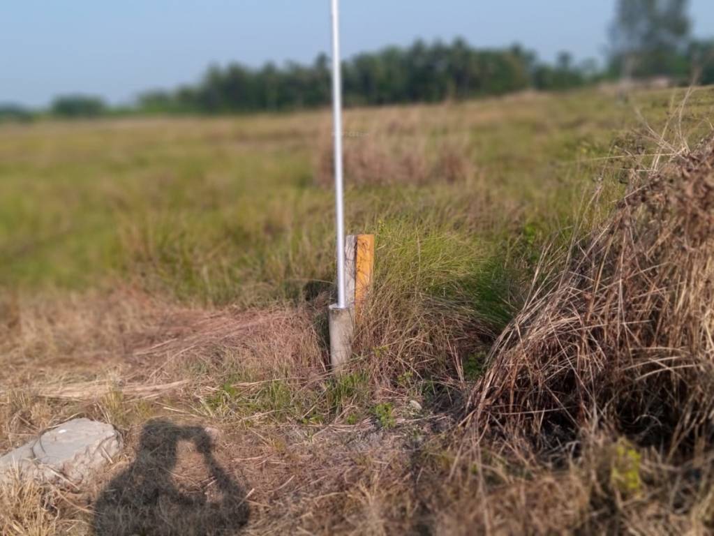  rasapunja abasan Plot