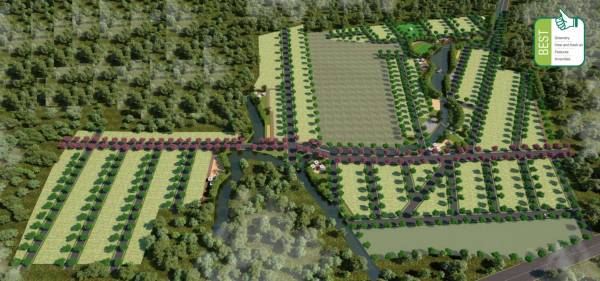  ecosprings-2 Layout Plan