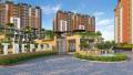Nagjua Lifespaces The Park