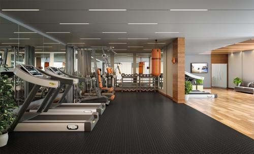  lumina-luxuria Gymnasium