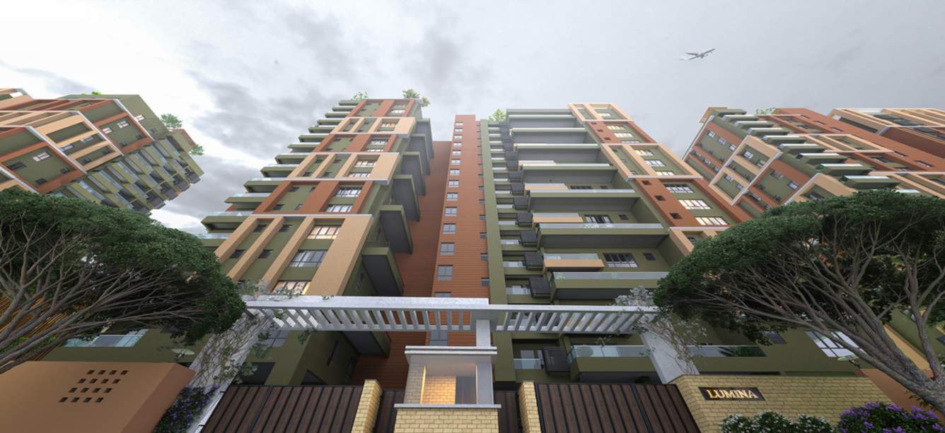  lumina luxuria Others