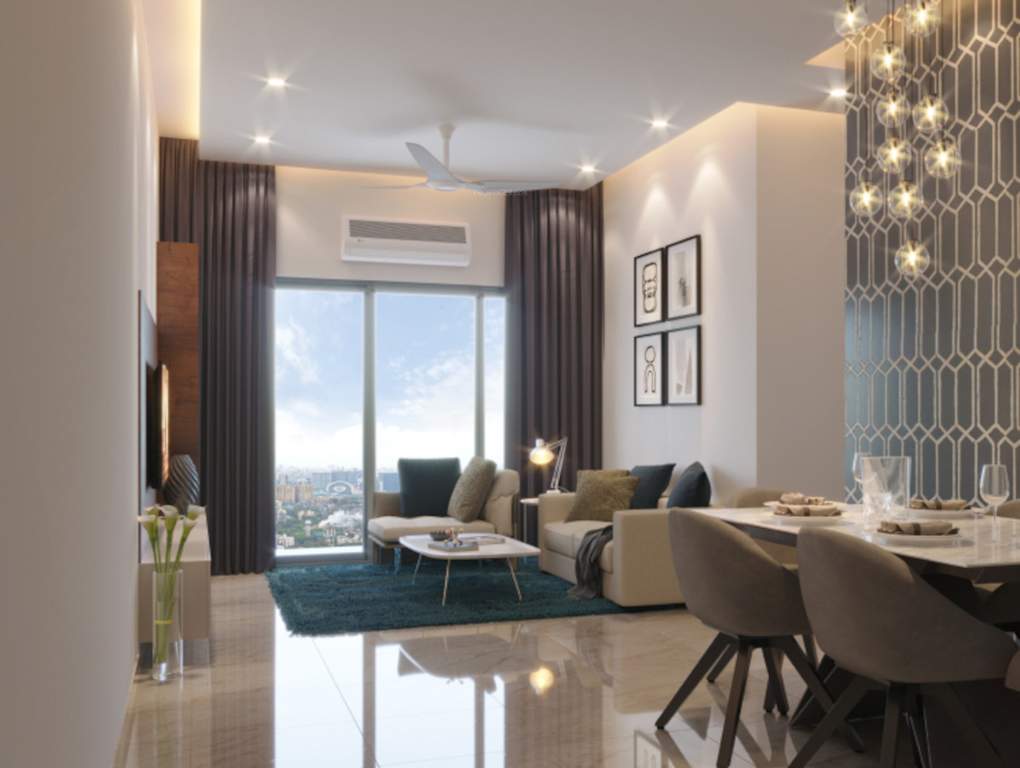  ornata amber Living Area