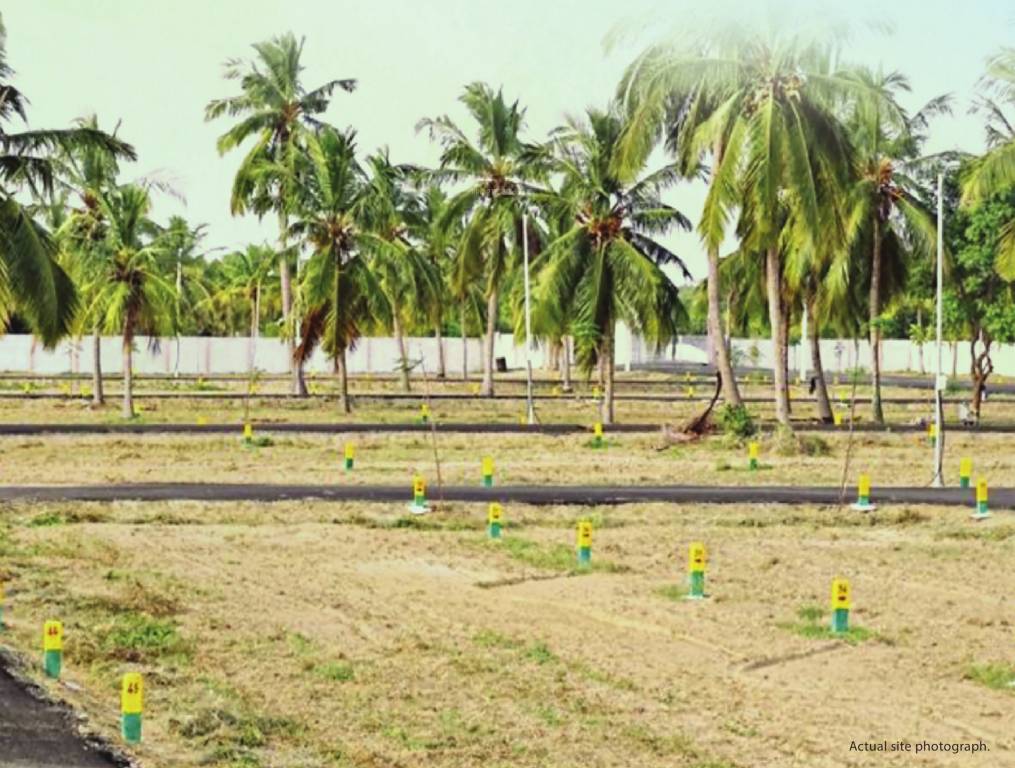  poongavanam Plot