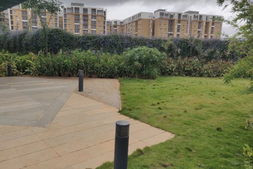  nucleus Landscape Garden and Tree Planting