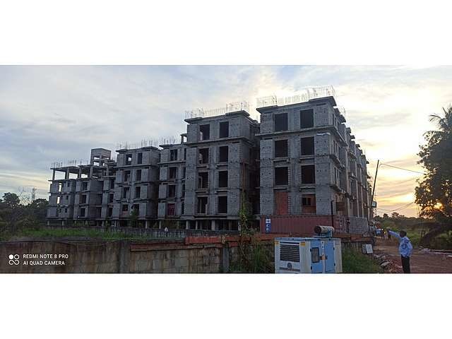 Magnolia Fantasia Phase II