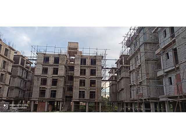 Magnolia Fantasia Phase II