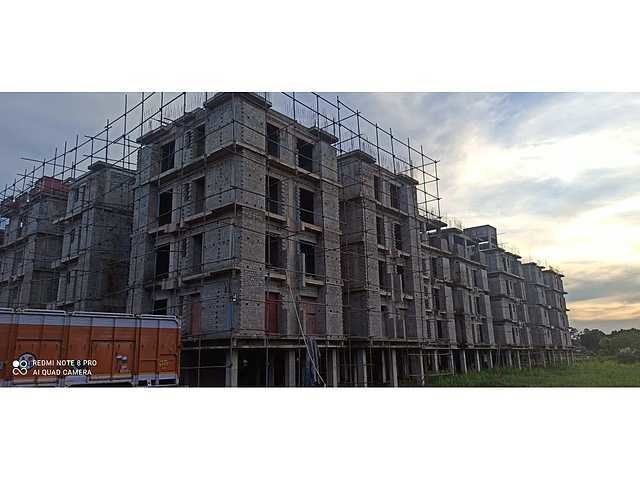 Magnolia Fantasia Phase II