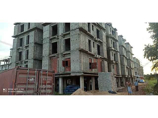 Magnolia Fantasia Phase II