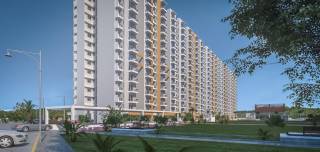 Project Image Project Image