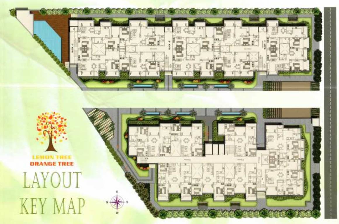 orange tree Layout Plan