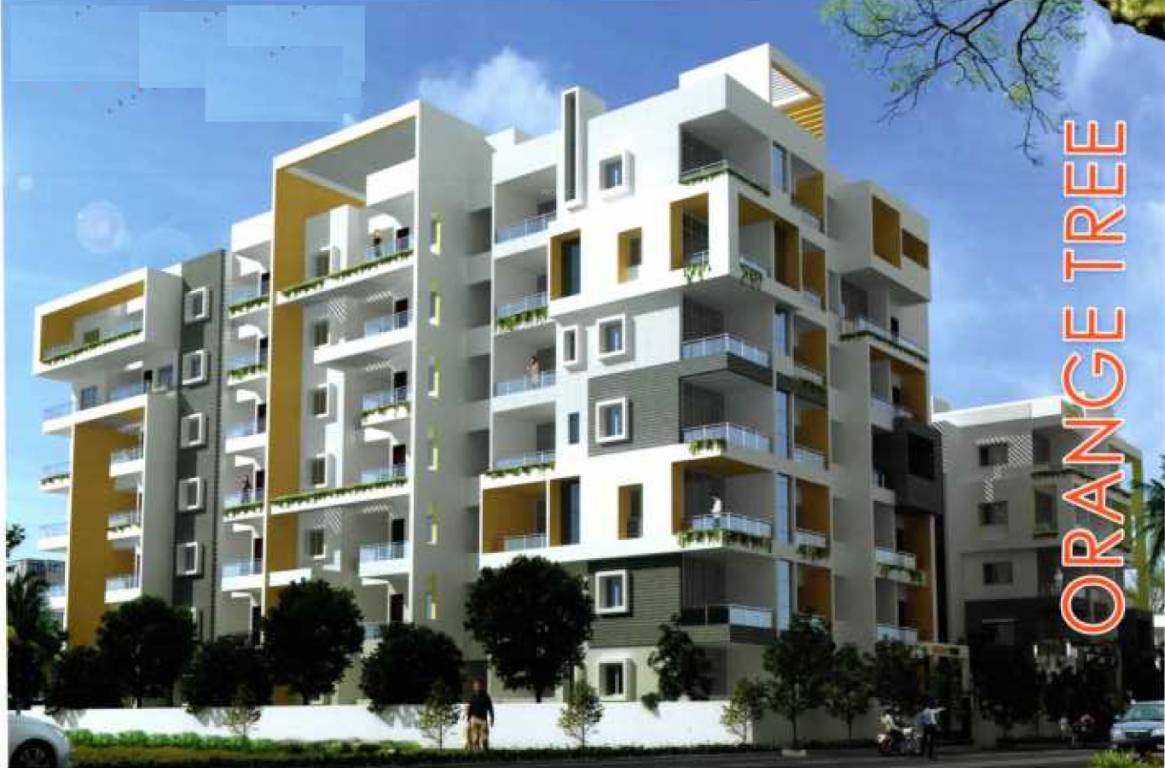 orange tree Elevation