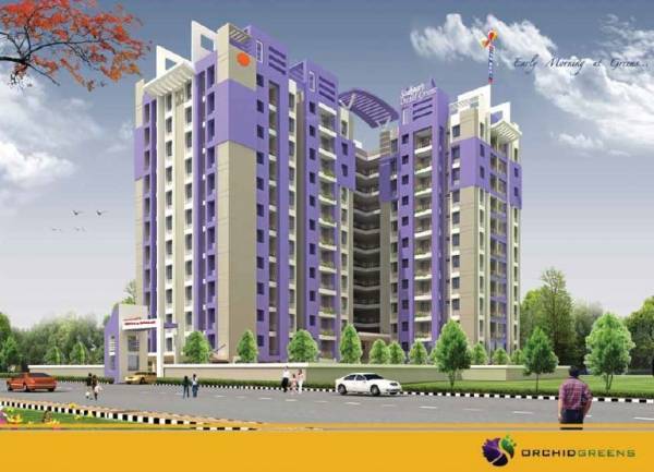 Elevation orchid-greens Elevation