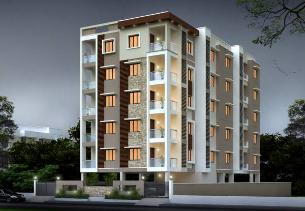 Elevation orchid Elevation