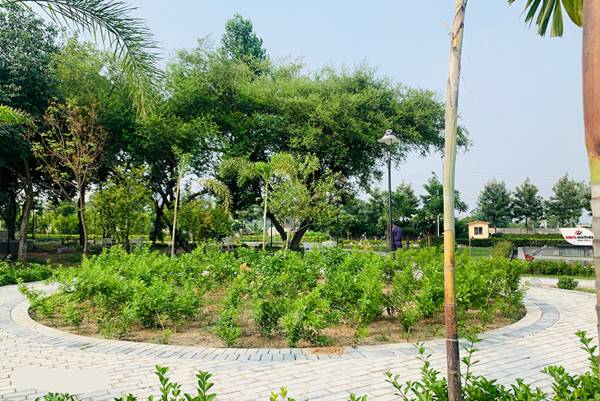 Others homes-phase-2a Others