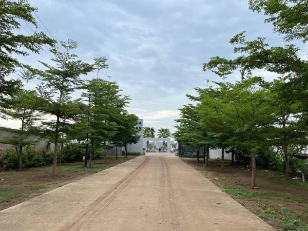 Others aamra-green Others