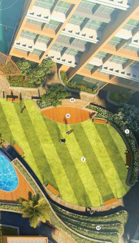  planet-6 Landscape Garden and Tree Planting