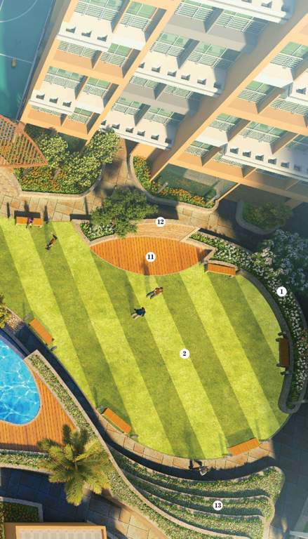  planet 6 Landscape Garden and Tree Planting