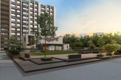  tulip Landscape Garden and Tree Planting