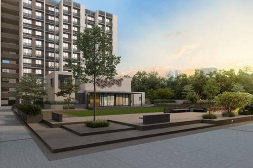  tulip Landscape Garden and Tree Planting