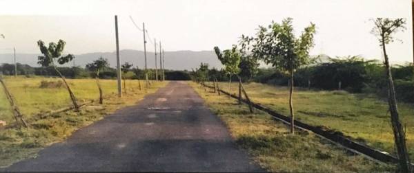 Elevation m-a-b-layout-phase-ii Elevation