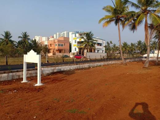 serasa-avenue Elevation Elevation