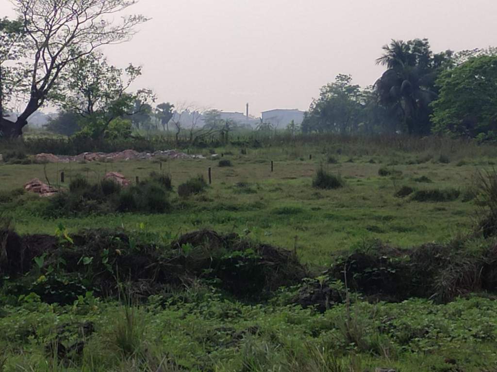  niharika Plot
