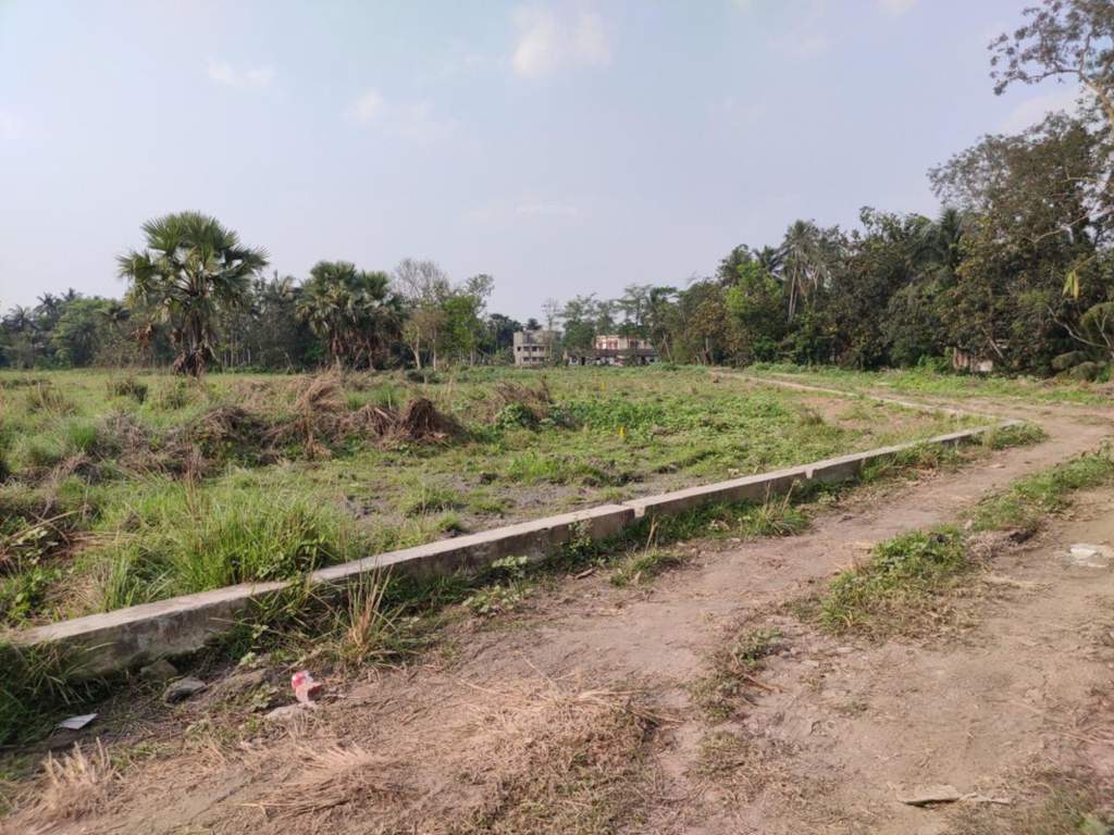  niharika Plot