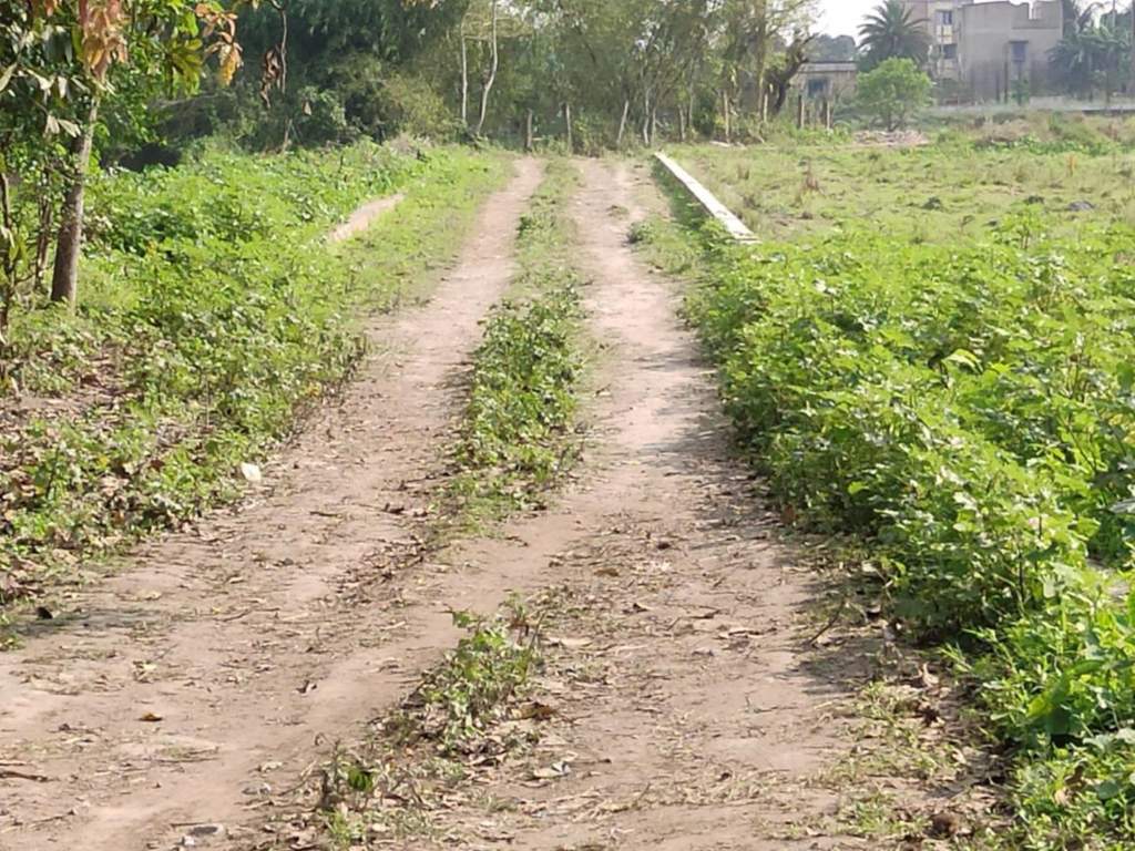  niharika Plot