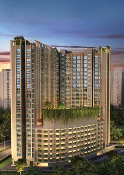  dosti-oro-67 Elevation