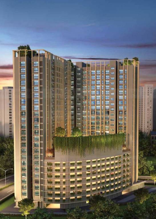  dosti oro 67 Elevation