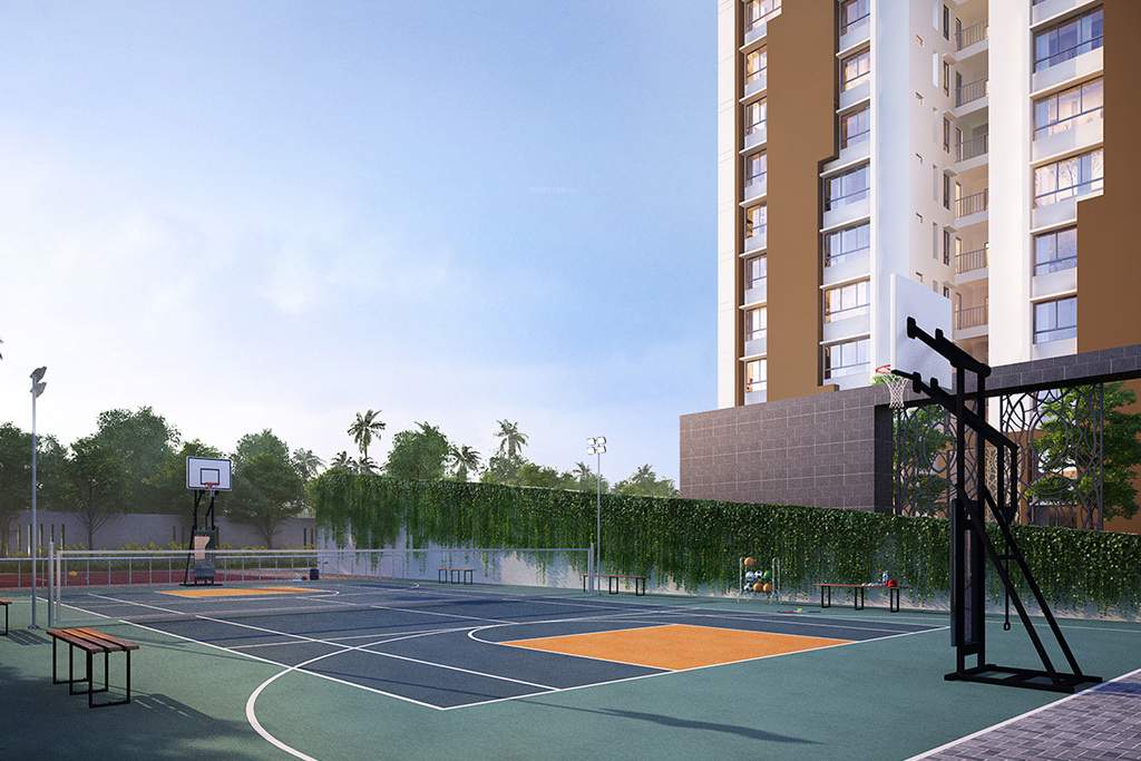  crest Basketball Court