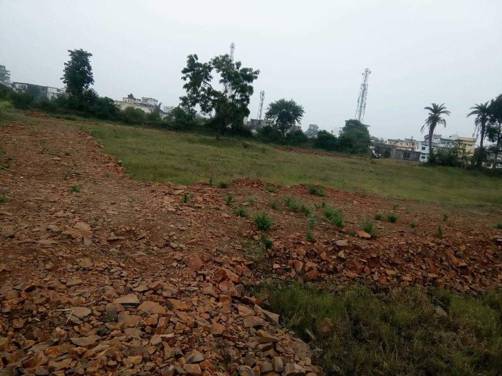  shree vidhya nagar Plot