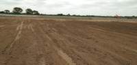 Agricultural Land One