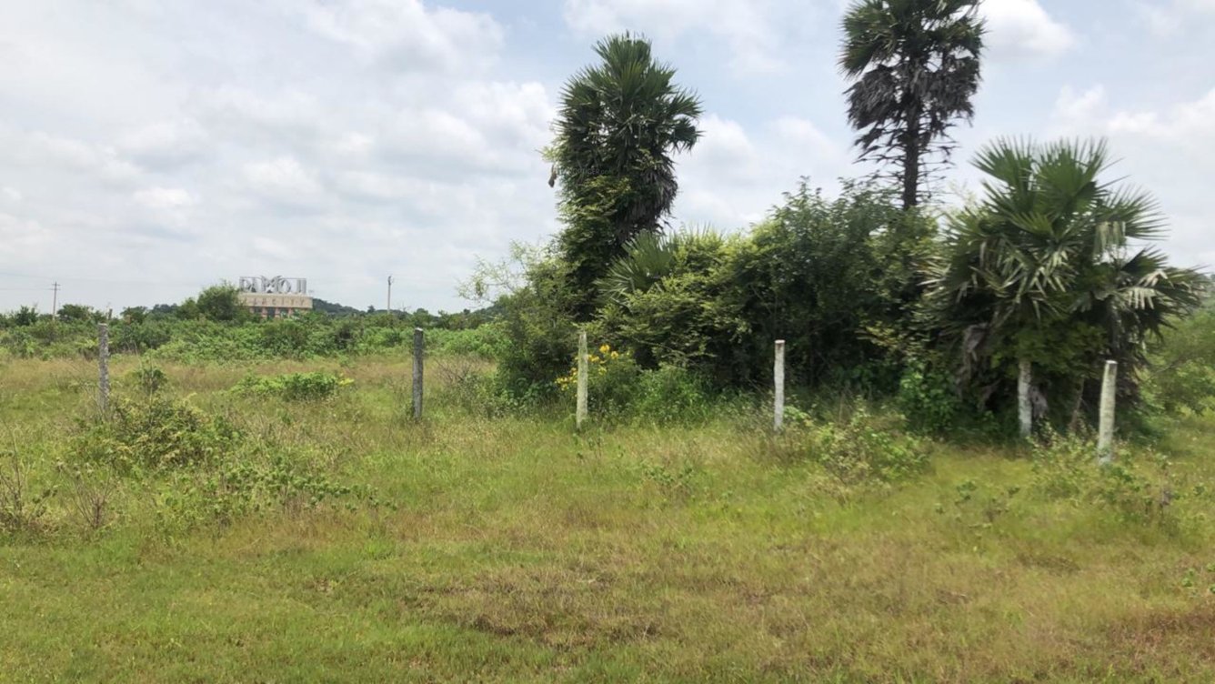  agricultural land one Plot