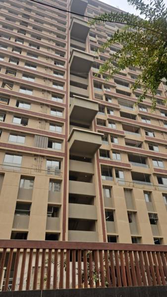 A Construction Status Feb-25 pashmina A Construction Status Feb-25