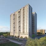 Elevation pashmina Elevation