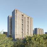 Elevation pashmina Elevation