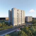 Elevation pashmina Elevation