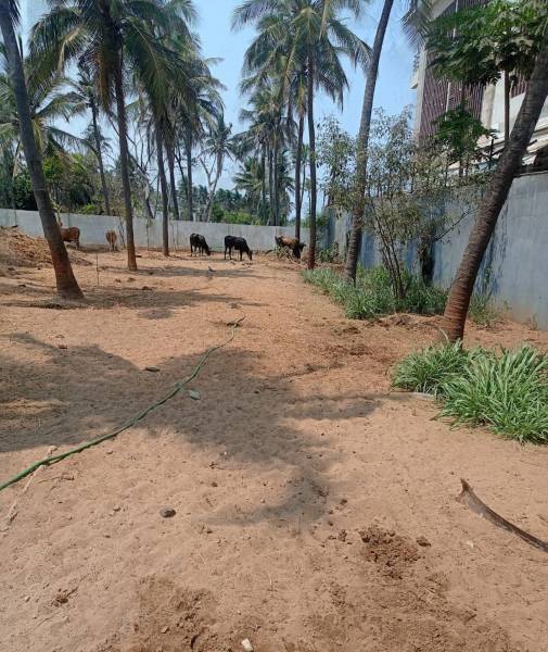 Elevation bay-roost Elevation