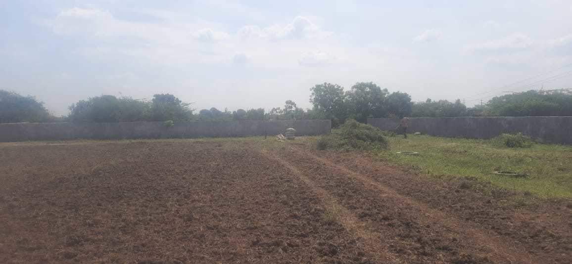  nikunj vihar Plot
