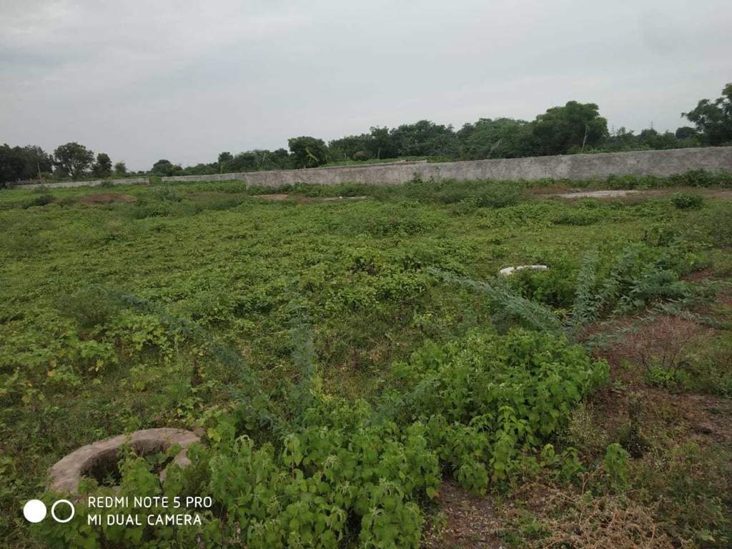  nikunj vihar Plot