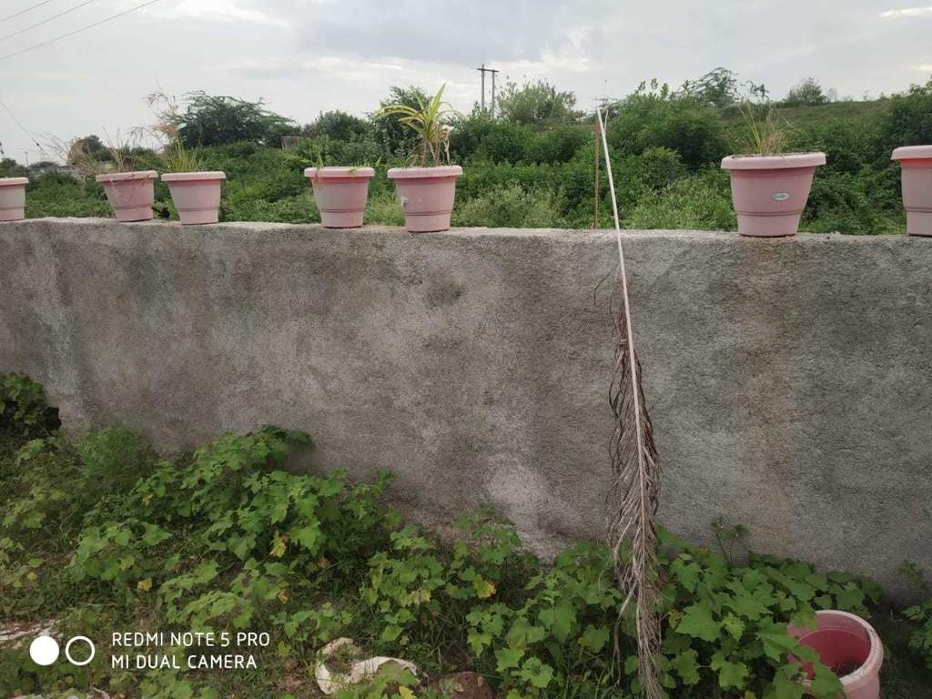  nikunj vihar Plot