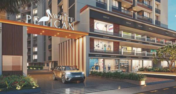  white-pelican Elevation